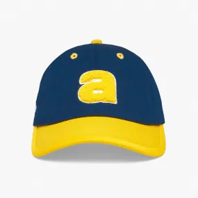 CAPS AND HATS - ARKANSAS NAVY YELLOW